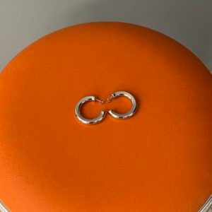 MET CIRC EARRING